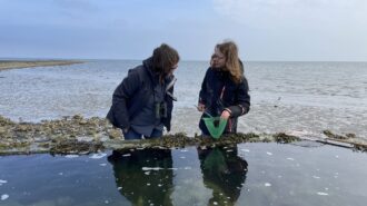 Getijdenbak Oosterschelde