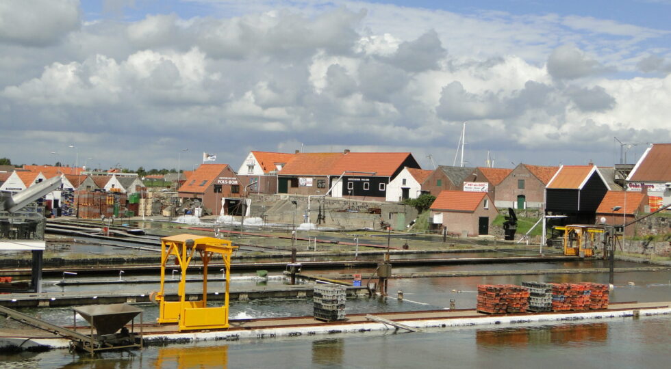 oesterputten yerseke