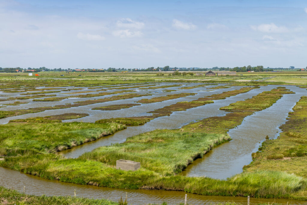 Karrevelden Zuidkust Schouwen