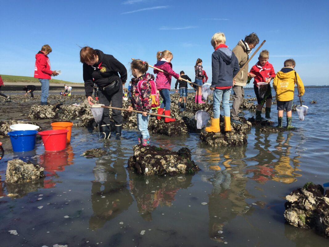 Kinderen Goese Sasdag