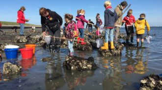 Kinderen Goese Sasdag