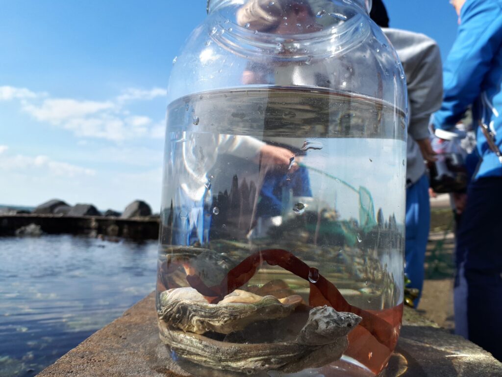 Pot Water Getijdenbak