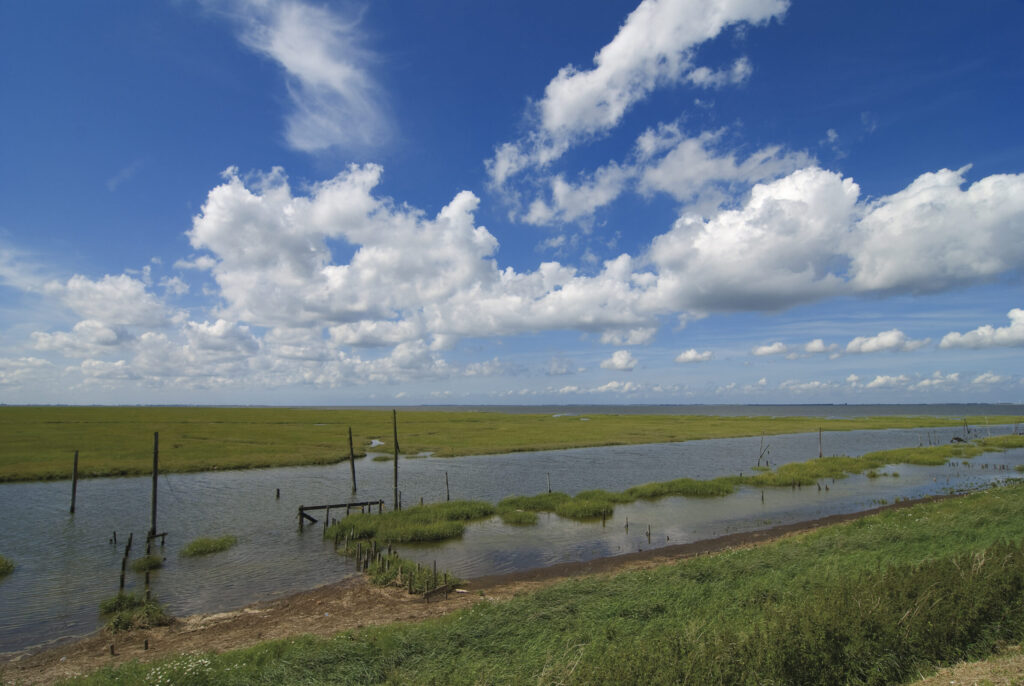 Schorren Oude Haven Rattekaai