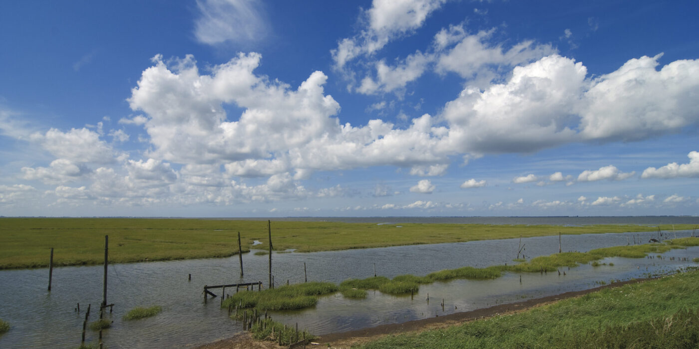 Schorren Oude Haven Rattekaai