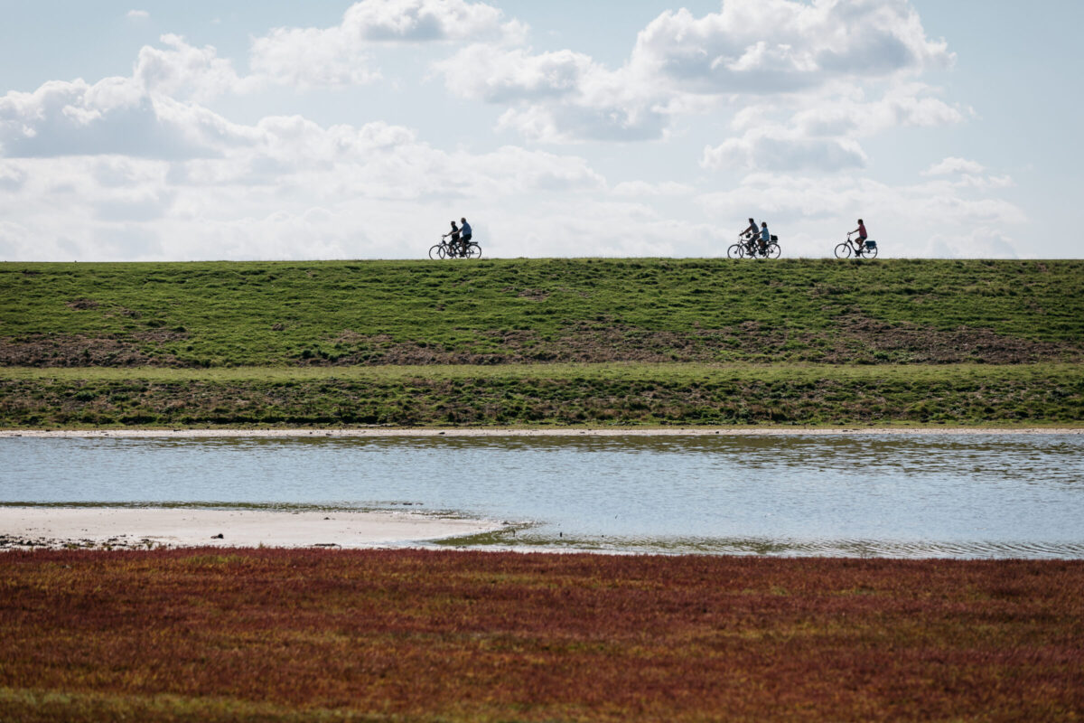 fietsen fietstocht oosterschelde