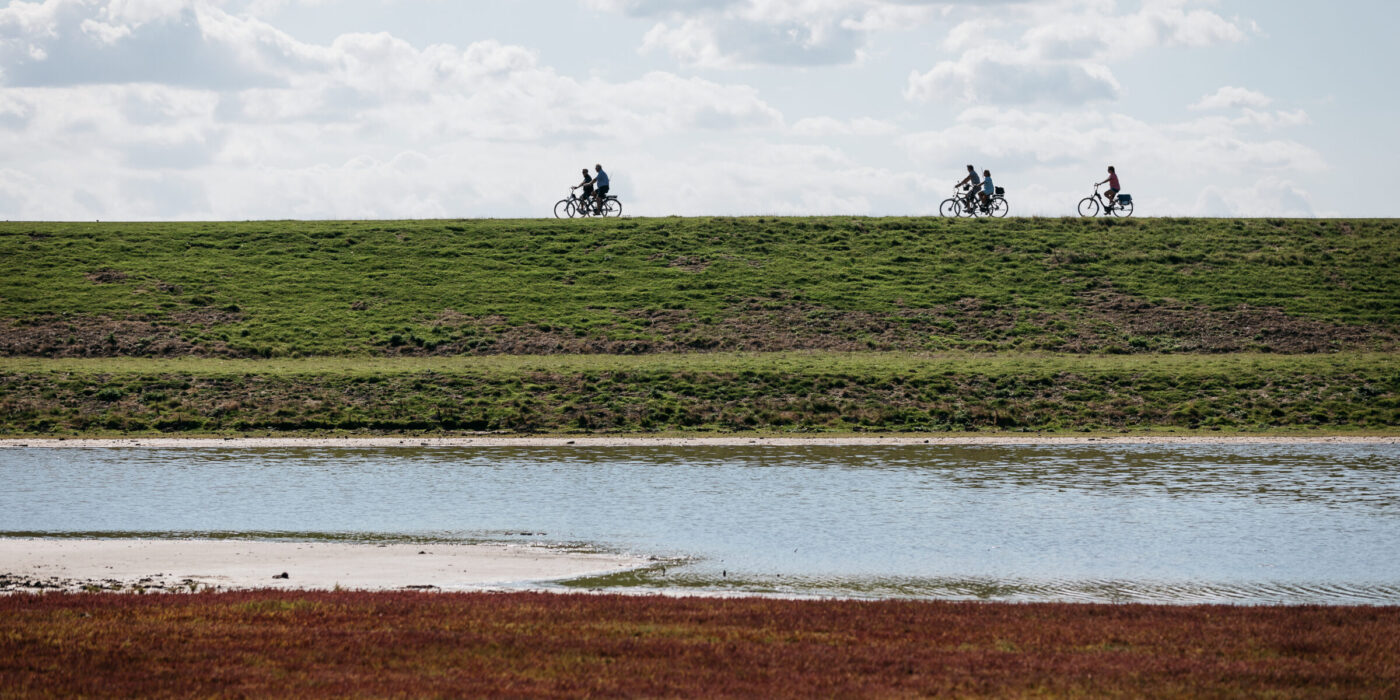 fietsen fietstocht oosterschelde