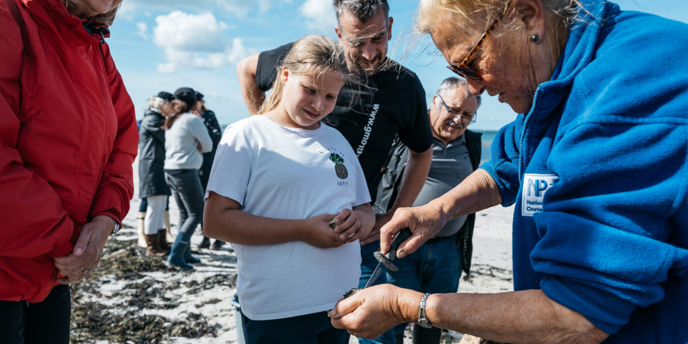 oesters rapen excursie