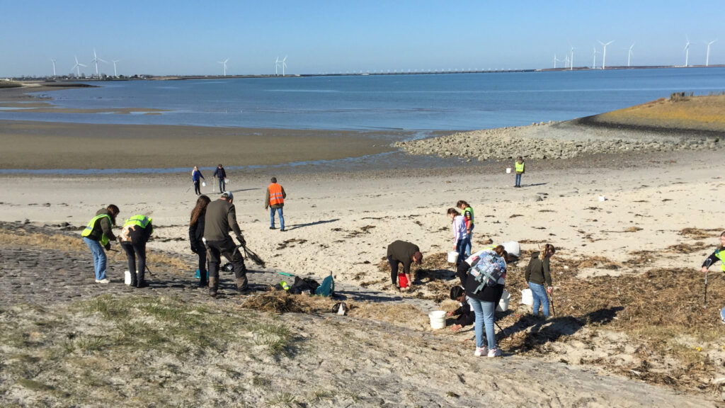 Onderwijs Strandjes Opruimen