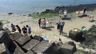 Foto gemaakt door Wildwier